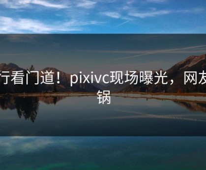 内行看门道！pixivc现场曝光，网友炸锅