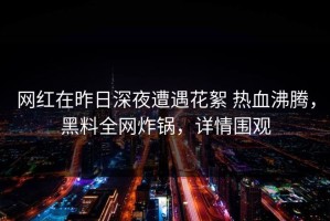 网红在昨日深夜遭遇花絮 热血沸腾，黑料全网炸锅，详情围观