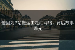 他因为P站搬运工走红网络，背后故事曝光