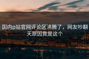 国内p站官网评论区沸腾了，网友吵翻天原因竟是这个