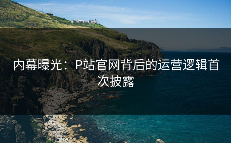 P站