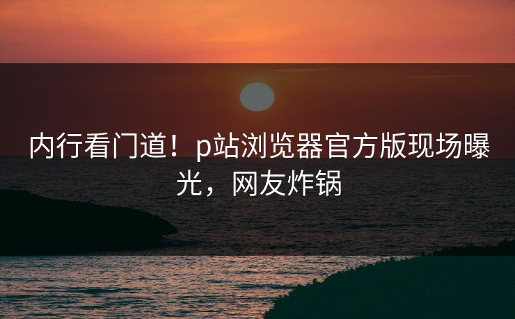 内行看门道！p站浏览器官方版现场曝光，网友炸锅