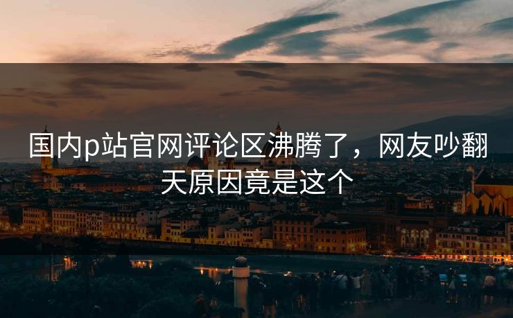 国内p站官网评论区沸腾了，网友吵翻天原因竟是这个