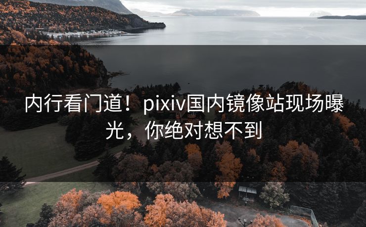 内行看门道！pixiv国内镜像站现场曝光，你绝对想不到
