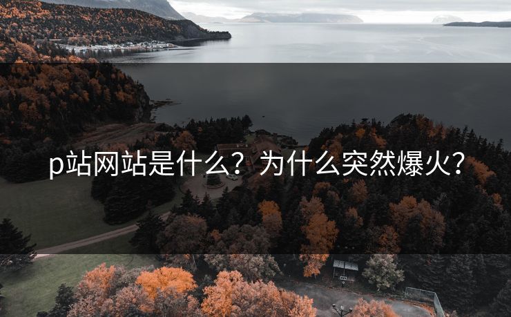 p站网站是什么？为什么突然爆火？