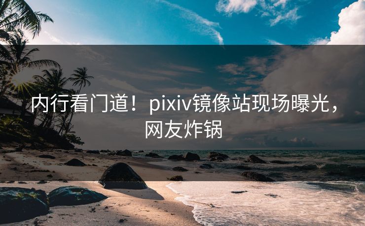 内行看门道！pixiv镜像站现场曝光，网友炸锅