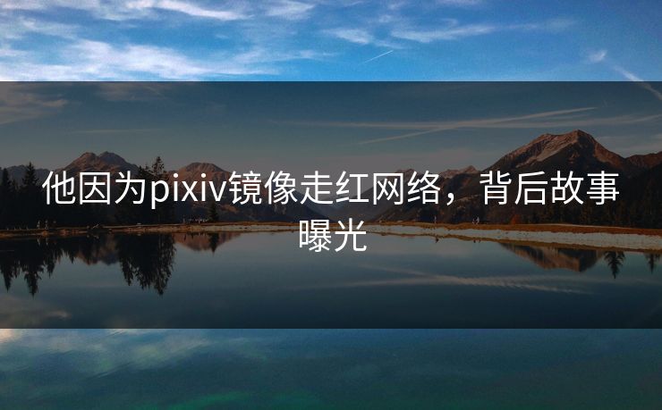 他因为pixiv镜像走红网络，背后故事曝光