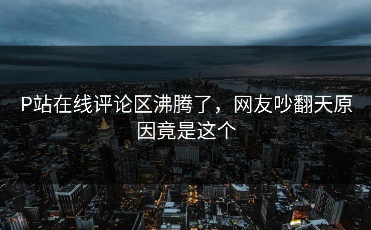 P站在线评论区沸腾了，网友吵翻天原因竟是这个