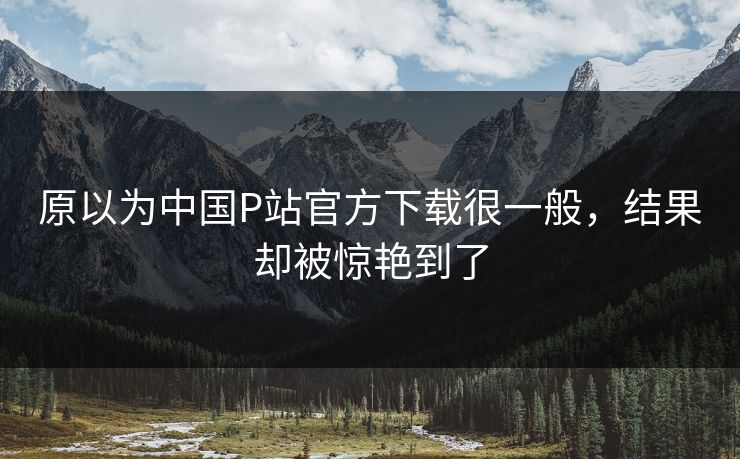 原以为中国P站官方下载很一般，结果却被惊艳到了