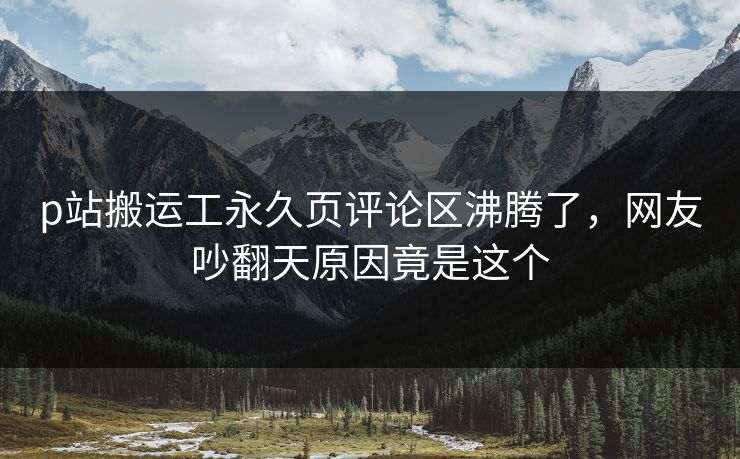 p站搬运工永久页评论区沸腾了，网友吵翻天原因竟是这个