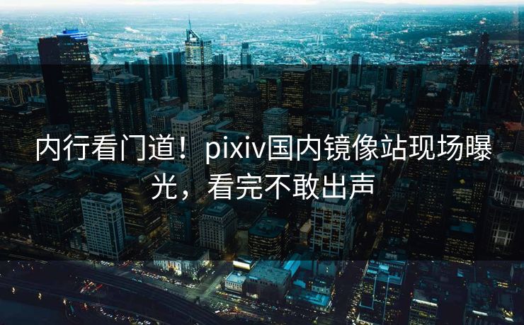 内行看门道！pixiv国内镜像站现场曝光，看完不敢出声