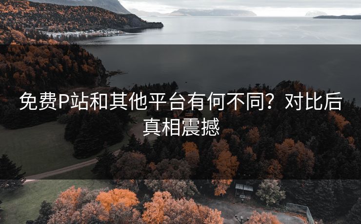 免费P站和其他平台有何不同？对比后真相震撼
