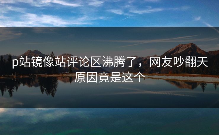 p站镜像站评论区沸腾了，网友吵翻天原因竟是这个