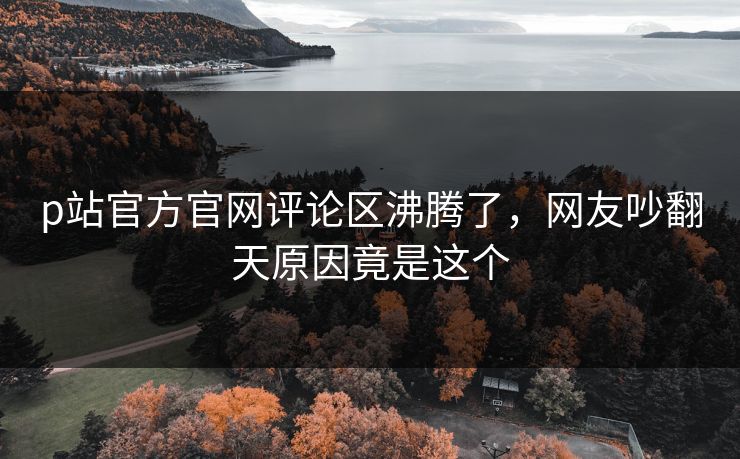 p站官方官网评论区沸腾了，网友吵翻天原因竟是这个
