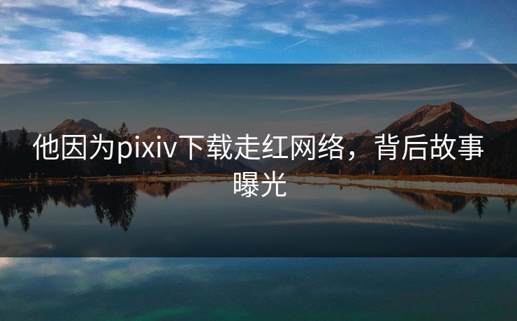 他因为pixiv下载走红网络，背后故事曝光