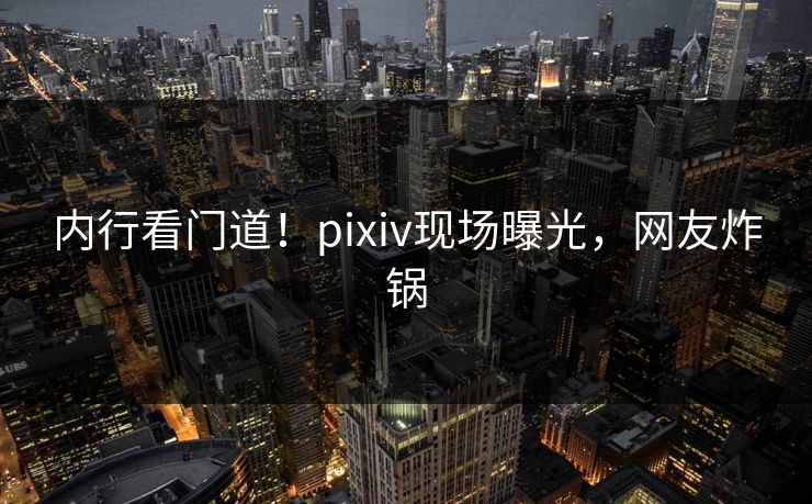 内行看门道！pixiv现场曝光，网友炸锅