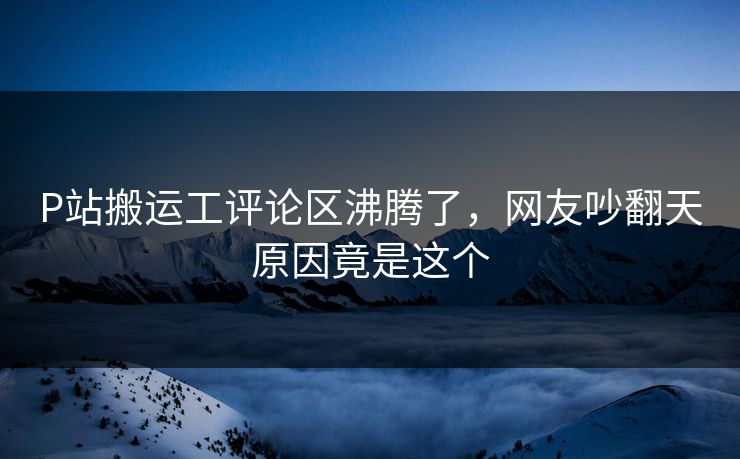 P站搬运工评论区沸腾了，网友吵翻天原因竟是这个
