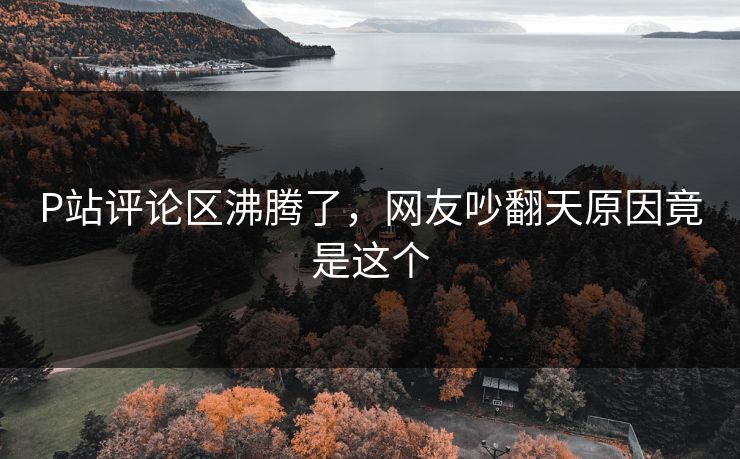 P站评论区沸腾了，网友吵翻天原因竟是这个