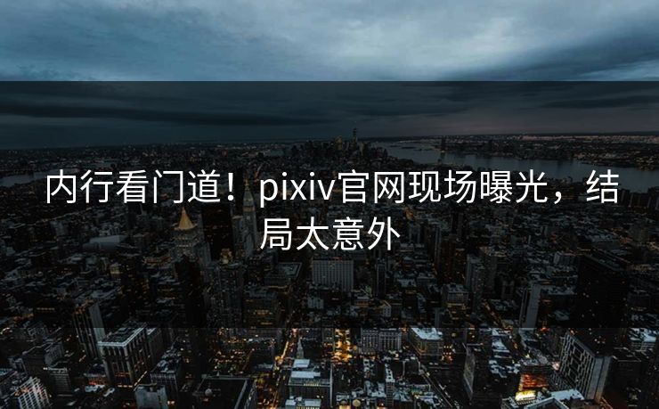 内行看门道！pixiv官网现场曝光，结局太意外