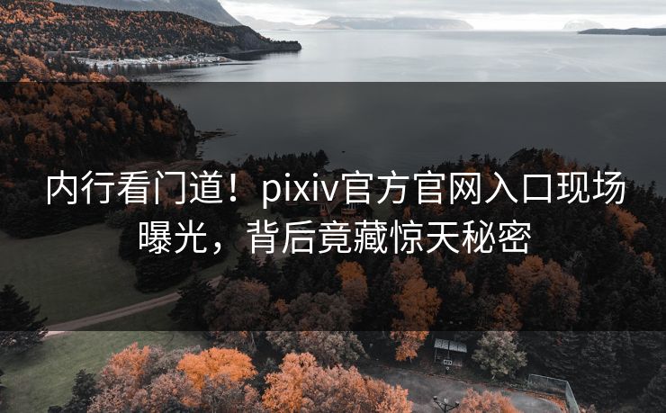 内行看门道！pixiv官方官网入口现场曝光，背后竟藏惊天秘密