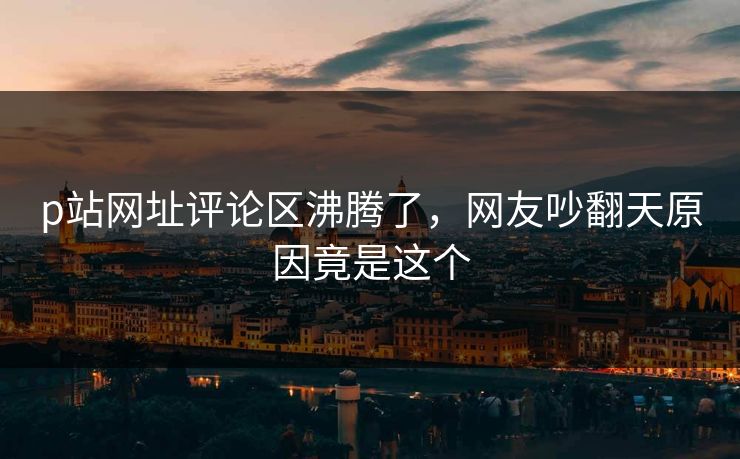 p站网址评论区沸腾了，网友吵翻天原因竟是这个