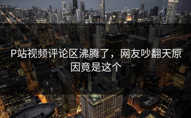 P站视频评论区沸腾了，网友吵翻天原因竟是这个