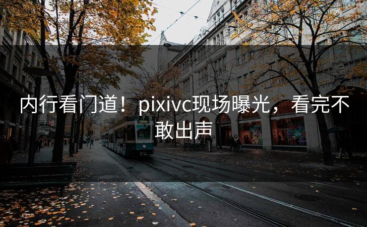 内行看门道！pixivc现场曝光，看完不敢出声