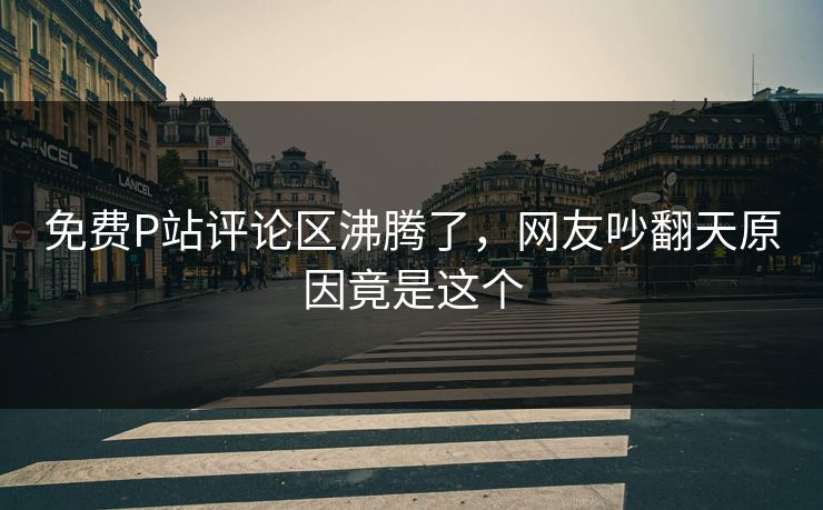 免费P站评论区沸腾了，网友吵翻天原因竟是这个
