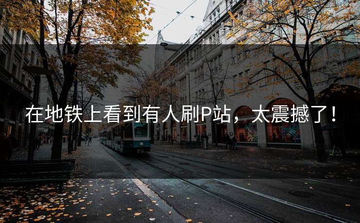 在地铁上看到有人刷P站，太震撼了！