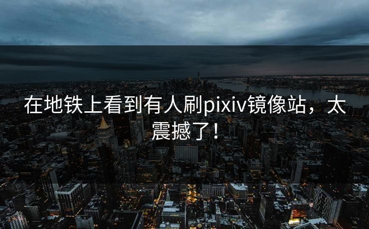 在地铁上看到有人刷pixiv镜像站，太震撼了！
