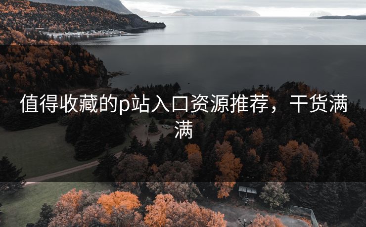 值得收藏的p站入口资源推荐，干货满满