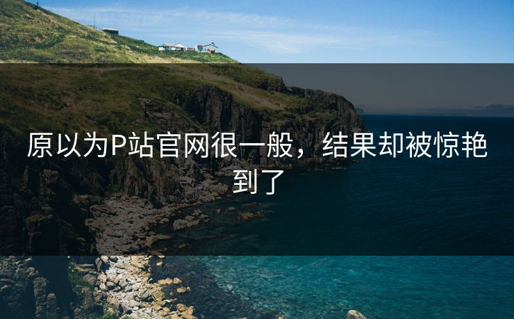 原以为P站官网很一般，结果却被惊艳到了