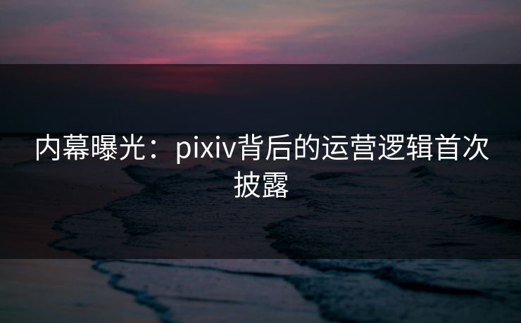 内幕曝光：pixiv背后的运营逻辑首次披露