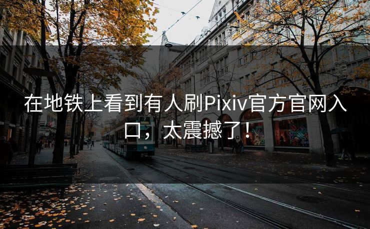 在地铁上看到有人刷Pixiv官方官网入口，太震撼了！