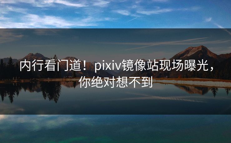 内行看门道！pixiv镜像站现场曝光，你绝对想不到