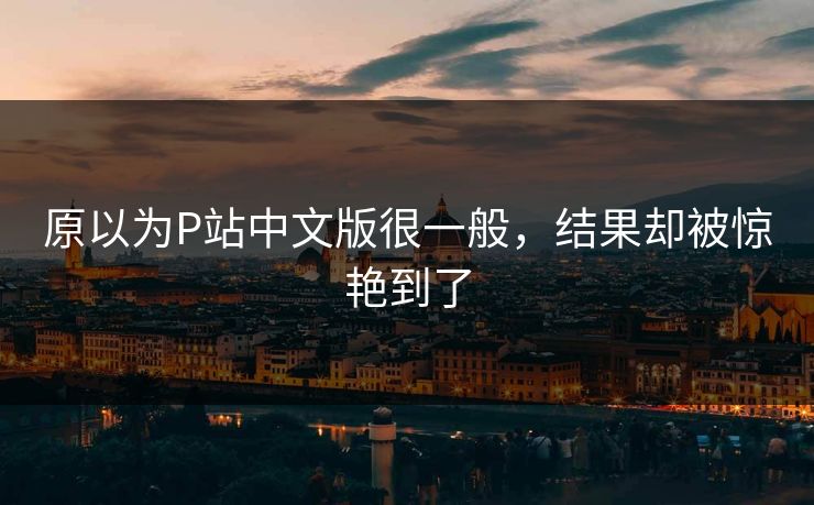 原以为P站中文版很一般，结果却被惊艳到了