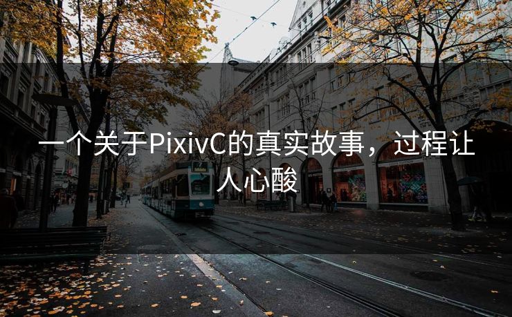 一个关于PixivC的真实故事，过程让人心酸