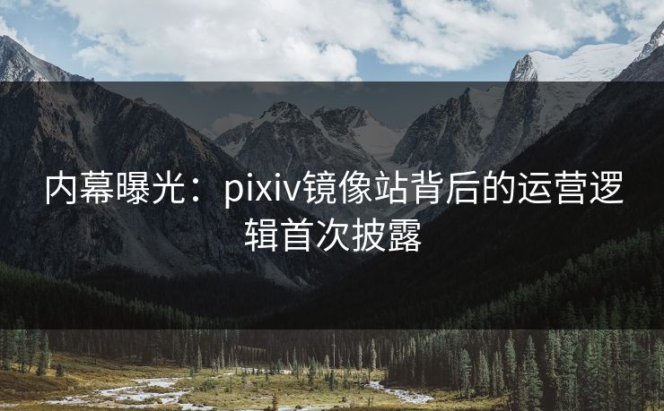 内幕曝光：pixiv镜像站背后的运营逻辑首次披露