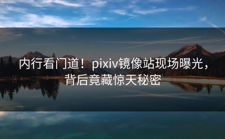 内行看门道！pixiv镜像站现场曝光，背后竟藏惊天秘密