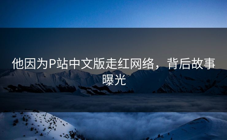 他因为P站中文版走红网络，背后故事曝光