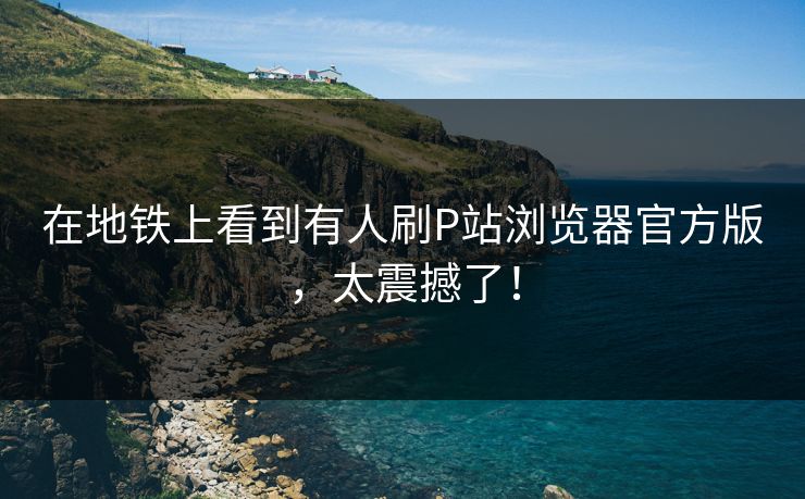 在地铁上看到有人刷P站浏览器官方版，太震撼了！