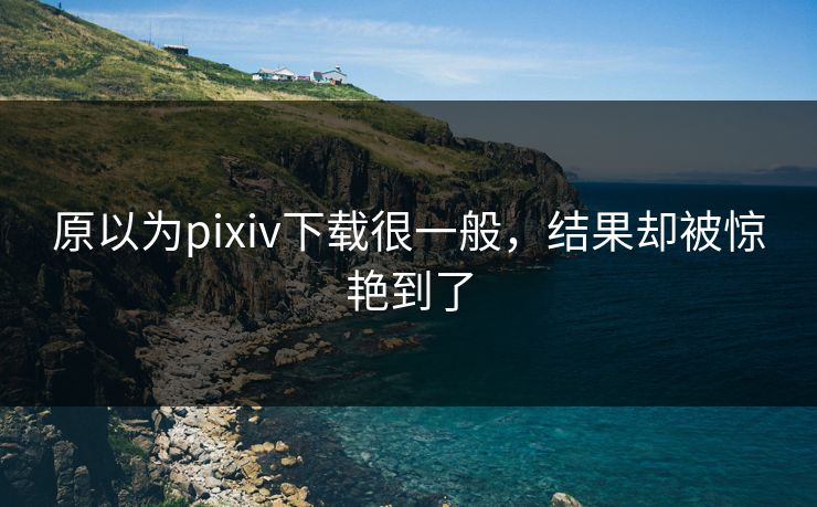 原以为pixiv下载很一般，结果却被惊艳到了