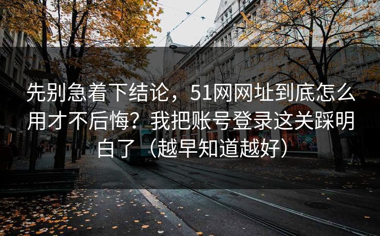 先别急着下结论，51网网址到底怎么用才不后悔？我把账号登录这关踩明白了（越早知道越好）